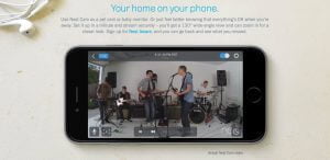 Jared the bass player